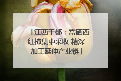江西于都：富硒西红柿集中采收 精深加工延伸产业链