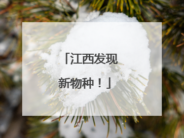 江西发现新物种！