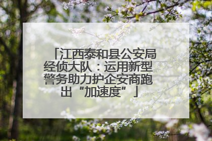 江西泰和县公安局经侦大队：运用新型警务助力护企安商跑出“加速度”