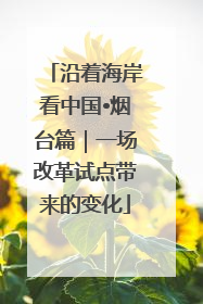 沿着海岸看中国•烟台篇｜一场改革试点带来的变化