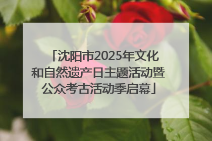 沈阳市2025年文化和自然遗产日主题活动暨公众考古活动季启幕