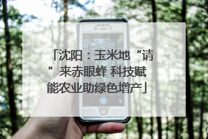 沈阳：玉米地“请”来赤眼蜂 科技赋能农业助绿色增产