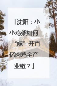 沈阳：小小鸡架如何“啄”开百亿肉鸡全产业链？
