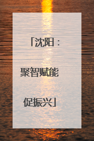 沈阳：聚智赋能促振兴
