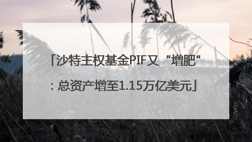 沙特主权基金PIF又“增肥”：总资产增至1.15万亿美元