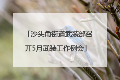 沙头角街道武装部召开5月武装工作例会