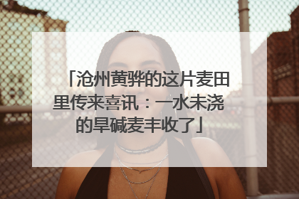 沧州黄骅的这片麦田里传来喜讯：一水未浇的旱碱麦丰收了