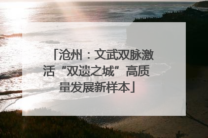 沧州：文武双脉激活“双遗之城”高质量发展新样本