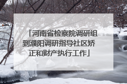 河南省检察院调研组到濮阳调研指导社区矫正和财产执行工作