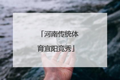 河南传统体育宜阳竞秀