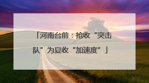河南台前：抢收“突击队”为夏收“加速度”