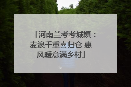 河南兰考考城镇：麦浪千重喜归仓 惠风暖意满乡村