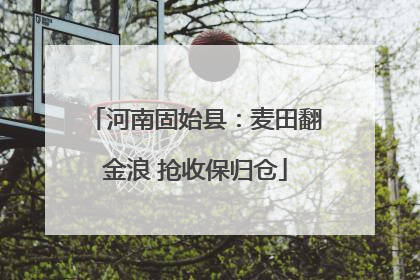 河南固始县：麦田翻金浪 抢收保归仓