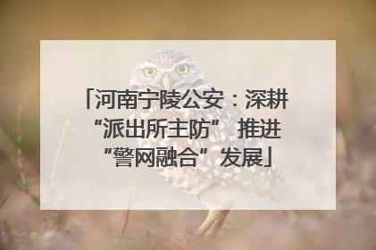 河南宁陵公安：深耕“派出所主防” 推进“警网融合”发展