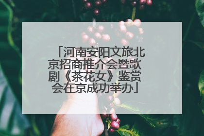 河南安阳文旅北京招商推介会暨歌剧《茶花女》鉴赏会在京成功举办