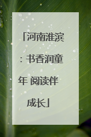 河南淮滨：书香润童年 阅读伴成长