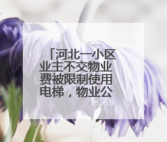 河北一小区业主不交物业费被限制使用电梯，物业公司：不交钱还想用电梯，这钱谁出？