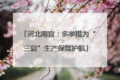 河北南宫：多举措为“三夏”生产保驾护航