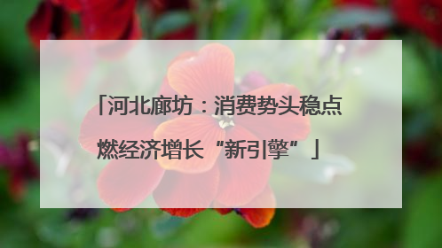 河北廊坊：消费势头稳点燃经济增长“新引擎”