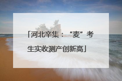 河北辛集：“麦”考生实收测产创新高