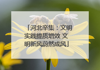 河北辛集：文明实践提质增效 文明新风蔚然成风