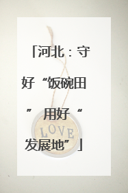 河北：守好“饭碗田” 用好“发展地”