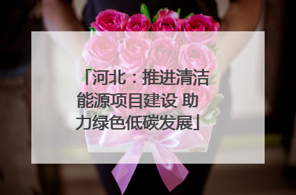 河北：推进清洁能源项目建设 助力绿色低碳发展