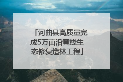 河曲县高质量完成5万亩沿黄线生态修复造林工程