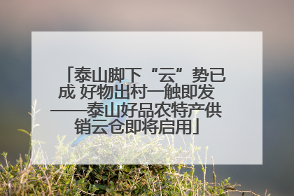 泰山脚下“云”势已成 好物出村一触即发——泰山好品农特产供销云仓即将启用