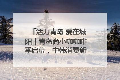 活力青岛 爱在城阳｜青岛尚小咖咖啡季启幕，中韩消费新场景点燃夏日热情
