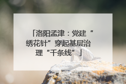 洛阳孟津：党建“绣花针”穿起基层治理“千条线”