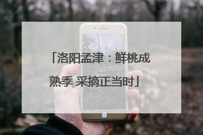洛阳孟津：鲜桃成熟季 采摘正当时