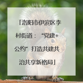 洛阳市伊滨区李村街道：“党建+公约”打造共建共治共享新格局