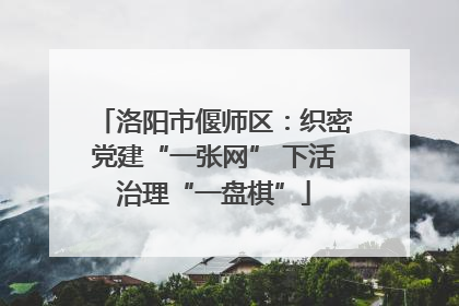 洛阳市偃师区：织密党建“一张网” 下活治理“一盘棋”