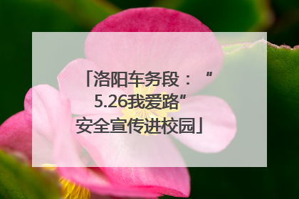 洛阳车务段：“5.26我爱路”安全宣传进校园