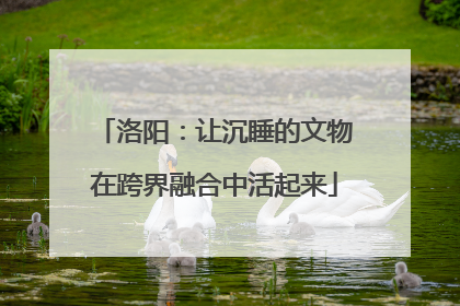 洛阳：让沉睡的文物在跨界融合中活起来