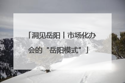 洞见岳阳丨市场化办会的“岳阳模式”