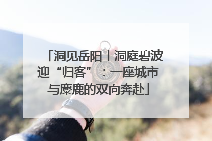 洞见岳阳丨洞庭碧波迎“归客”：一座城市与麋鹿的双向奔赴