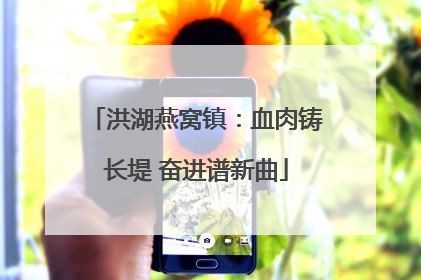 洪湖燕窝镇：血肉铸长堤 奋进谱新曲
