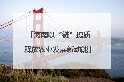 海南以“链”提质 释放农业发展新动能