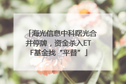海光信息中科曙光合并停牌，资金杀入ETF基金找“平替”