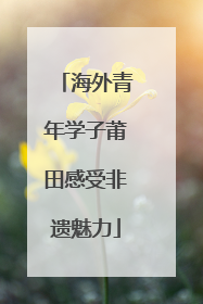 海外青年学子莆田感受非遗魅力