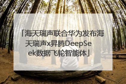 海天瑞声联合华为发布海天瑞声x昇腾DeepSeek数据飞轮智能体