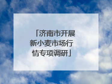 济南市开展新小麦市场行情专项调研