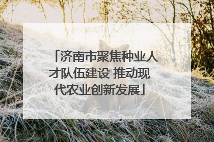 济南市聚焦种业人才队伍建设 推动现代农业创新发展