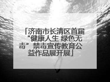 济南市长清区首届“健康人生 绿色无毒”禁毒宣传教育公益作品展开展