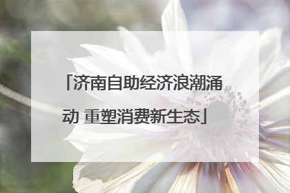 济南自助经济浪潮涌动 重塑消费新生态
