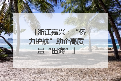 浙江嘉兴：“侨力护航”助企高质量“出海”