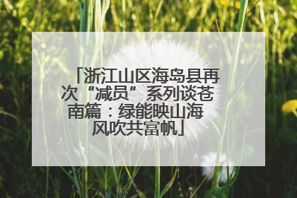 浙江山区海岛县再次“减员”系列谈苍南篇：绿能映山海 风吹共富帆