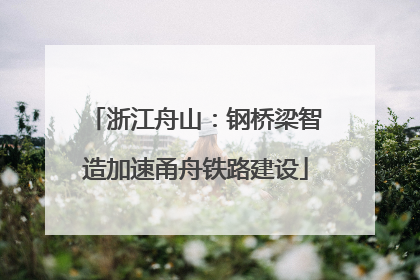 浙江舟山：钢桥梁智造加速甬舟铁路建设